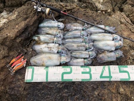 2022 佐渡ヶ島エギング 12回目